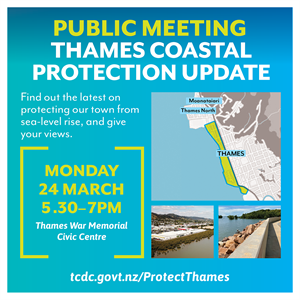 Thames sea wall protection_WEB TILE_2025.png