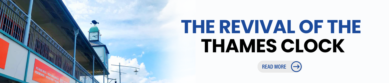 E-newsletter banners (1).png