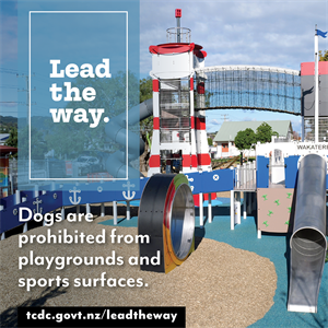 Dogs_Lead the Way 1080x1080_20244.png