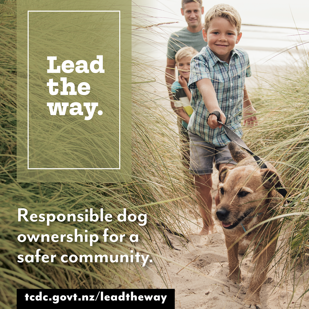 Dogs_Lead the Way 1080x1080_2024.png